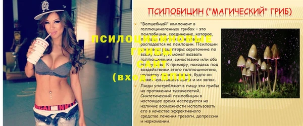 стафф Кулебаки