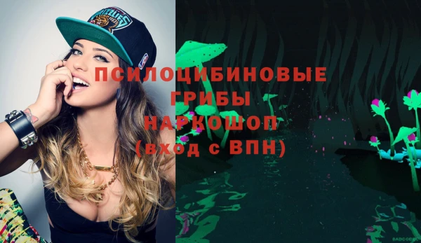 стафф Кулебаки