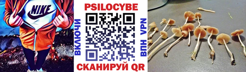 Псилоцибиновые грибы GOLDEN TEACHER  Макаров 
